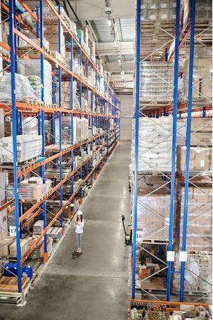 GOIAN Aduanas Customs fito sanitario inspeccion PIF