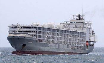 Gorian Aduanas Customs Agents live cattle cargo ship e1663269070757